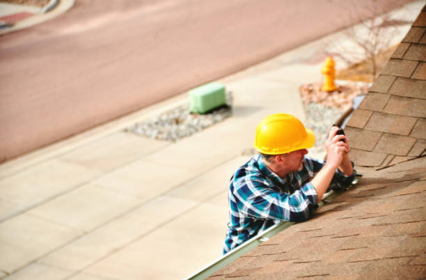 Best Roof Coating and Sealing  in Brownlee Park, MI